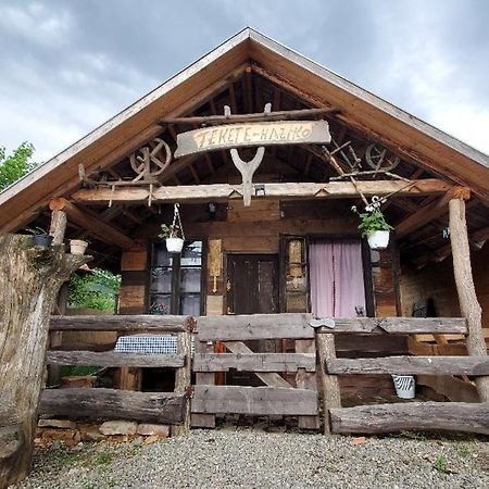 Casa Rustic Feher & Fekete Vendeghazak Sovata Exteriör bild