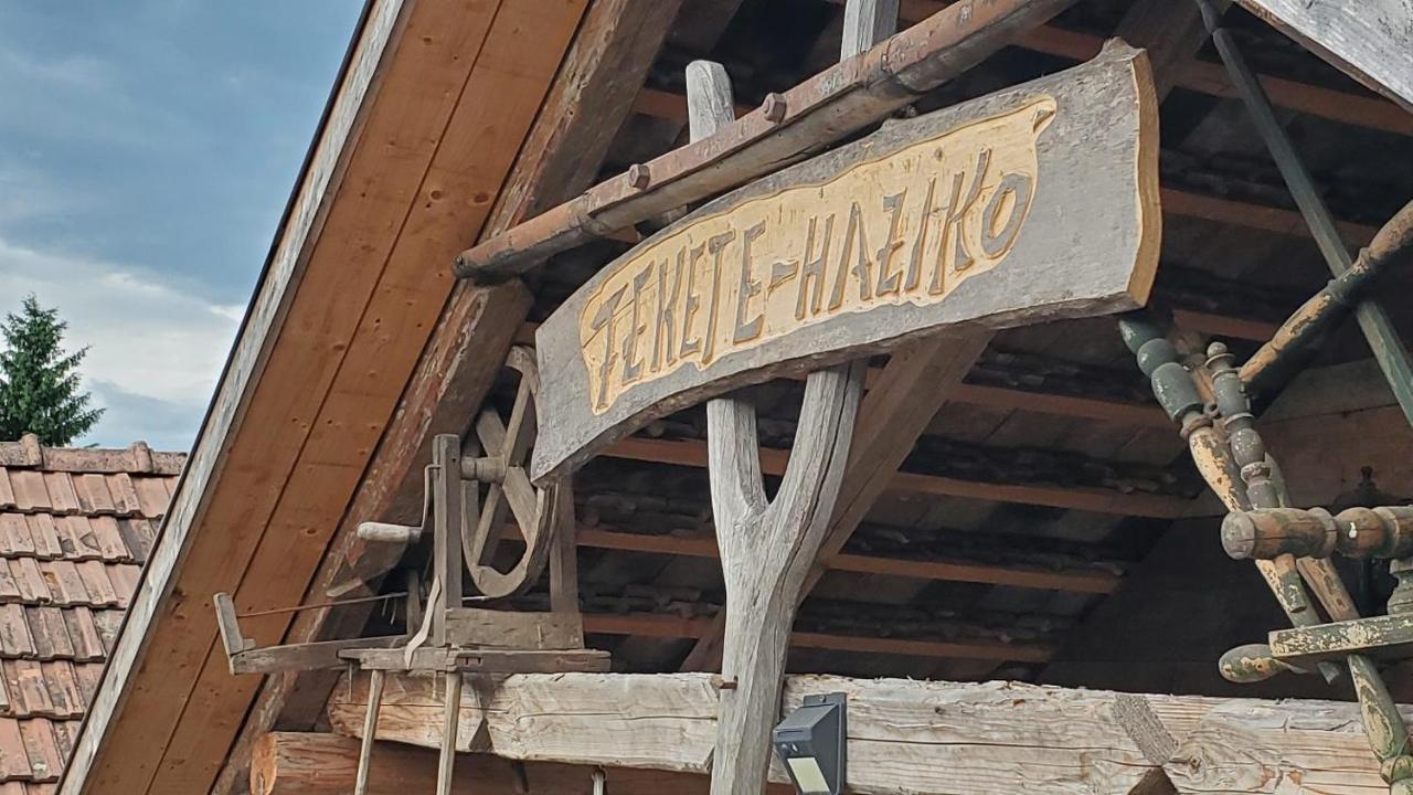 Casa Rustic Feher & Fekete Vendeghazak Sovata Exteriör bild