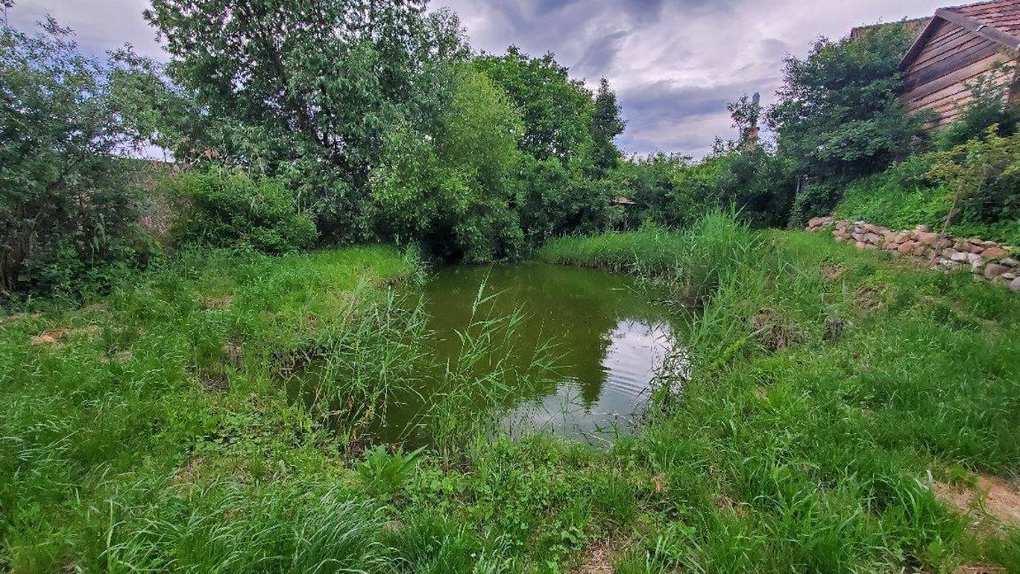Casa Rustic Feher & Fekete Vendeghazak Sovata Exteriör bild