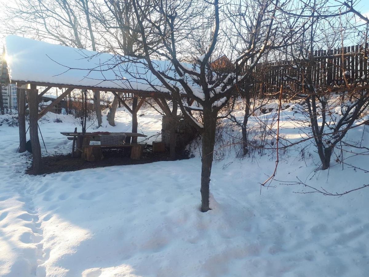 Casa Rustic Feher & Fekete Vendeghazak Sovata Exteriör bild