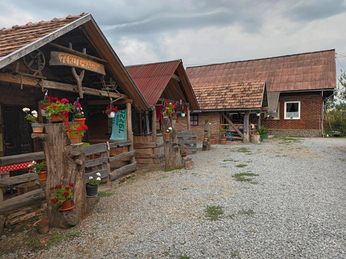 Casa Rustic Feher & Fekete Vendeghazak Sovata Exteriör bild