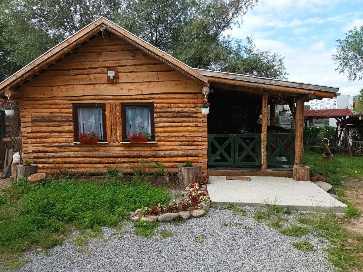 Casa Rustic Feher & Fekete Vendeghazak Sovata Exteriör bild
